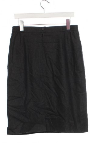 Sukně Delmond, Velikost L, Barva Šedá, Cena  99,00 Kč