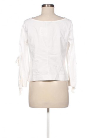 Damen Shirt Armani Exchange, Größe M, Farbe Weiß, Preis € 82,99