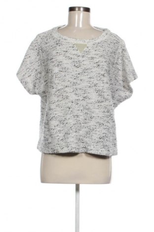 Damen Shirt Calvin Klein Jeans, Größe M, Farbe Mehrfarbig, Preis 8,99 €