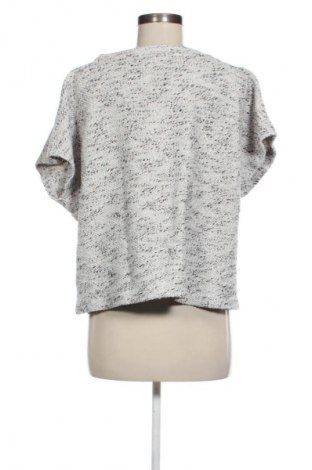 Damen Shirt Calvin Klein Jeans, Größe M, Farbe Mehrfarbig, Preis 8,99 €