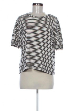 Dámska blúza Papaya, Veľkosť M, Farba Viacfarebná, Cena  3,95 €