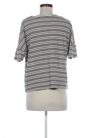 Dámska blúza Papaya, Veľkosť M, Farba Viacfarebná, Cena  3,95 €