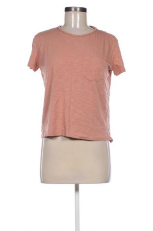 Damen Shirt Piazza Italia, Größe S, Farbe Braun, Preis 4,80 €