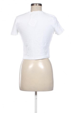 Damen Shirt Primark, Größe M, Farbe Mehrfarbig, Preis 8,00 €