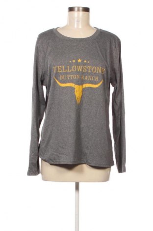 Dámska blúza Unbranded, Veľkosť L, Farba Sivá, Cena  1,95 €