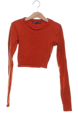 Dámska blúza Zara, Veľkosť S, Farba Hnedá, Cena  3,95 €