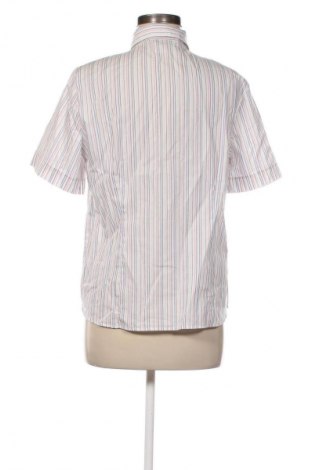 Damenbluse Eterna, Größe L, Farbe Mehrfarbig, Preis 9,99 €