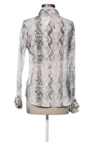 Damenbluse Mango, Größe S, Farbe Mehrfarbig, Preis 11,72 €