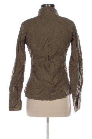 Damenbluse Terranova, Größe L, Farbe Grün, Preis 7,97 €