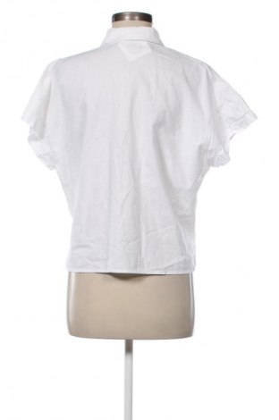 Damenbluse Unbranded, Größe XL, Farbe Weiß, Preis € 10,99