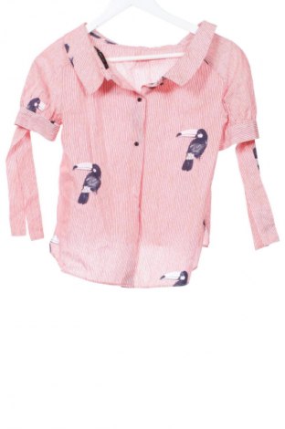 Dámska košeľa  Zara, Veľkosť S, Farba Červená, Cena  11,95 €