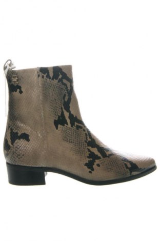 Botine de damă Tommy Hilfiger, Mărime 40, Culoare Multicolor, Preț 333,99 Lei