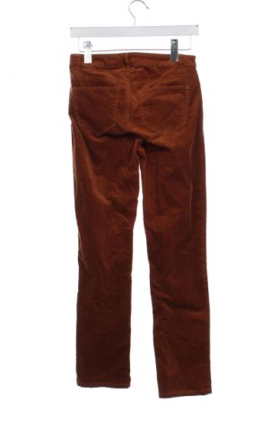 Damen Cordhose Esprit, Größe XXS, Farbe Orange, Preis 1,99 €