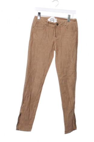 Damen Cordhose Massimo Dutti, Größe S, Farbe Beige, Preis 9,99 €