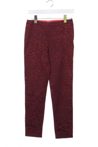 Damenhose H&M, Größe XS, Farbe Rot, Preis 15,99 €