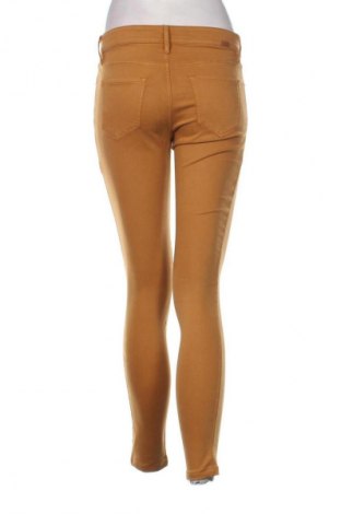 Damenhose Massimo Dutti, Größe S, Farbe Mehrfarbig, Preis 8,20 €