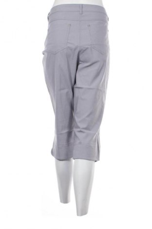 Pantaloni de femei Unbranded, Mărime XL, Culoare Gri, Preț 56,03 Lei