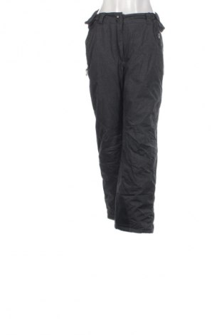 Damenhose für Wintersport Crane, Größe L, Farbe Grau, Preis 16,99 €