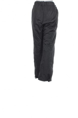 Damenhose für Wintersport Crane, Größe L, Farbe Grau, Preis 16,99 €