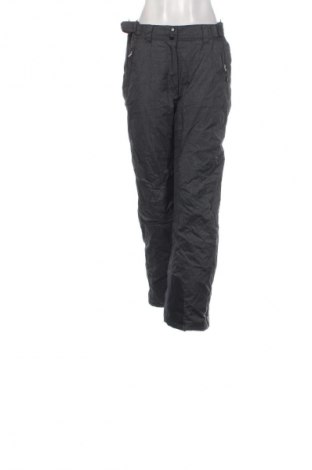 Дамски панталон за зимни спортове Crane, Размер XL, Цвят Сив, Цена 12,78 €