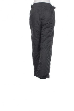 Дамски панталон за зимни спортове Crane, Размер XL, Цвят Сив, Цена 12,78 €