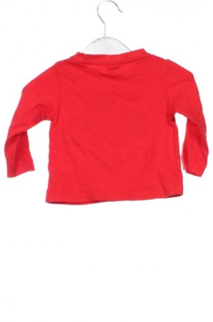 Detská blúzka  Cactus, Veľkosť 9-12m/ 74-80 cm, Farba Viacfarebná, Cena  1,95 €