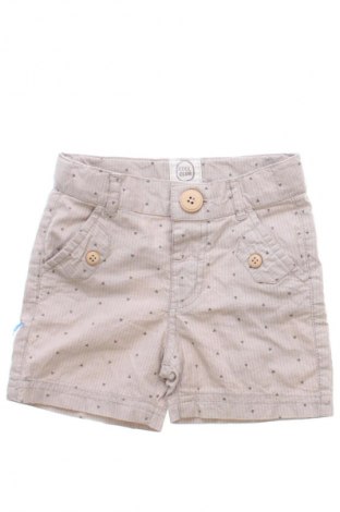 Dziecięce szorty Coolclub, Rozmiar 2-3m/ 56-62 cm, Kolor Kolorowy, Cena 6,99 zł