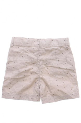 Dziecięce szorty Coolclub, Rozmiar 2-3m/ 56-62 cm, Kolor Kolorowy, Cena 6,99 zł