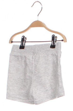 Dziecięce szorty Primark, Rozmiar 9-12m/ 74-80 cm, Kolor Szary, Cena 6,99 zł