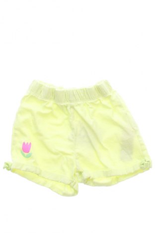 Detské krátke nohavice  Pepco, Veľkosť 12-18m/ 80-86 cm, Farba Zelená, Cena  1,95 €