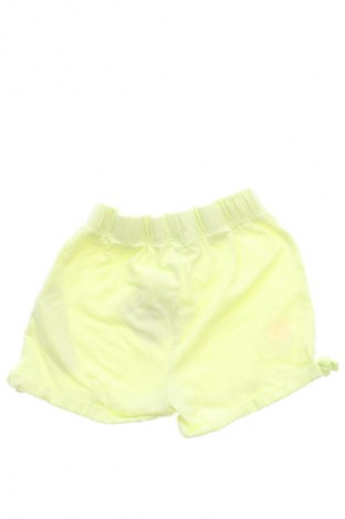 Detské krátke nohavice  Pepco, Veľkosť 12-18m/ 80-86 cm, Farba Zelená, Cena  1,95 €