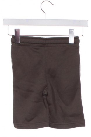 Pantaloni scurți pentru copii Unbranded, Mărime 5-6y/ 116-122 cm, Culoare Verde, Preț 25,99 Lei