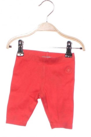 Kinderhose Sigikid, Größe 3-6m/ 62-68 cm, Farbe Rot, Preis 1,99 €