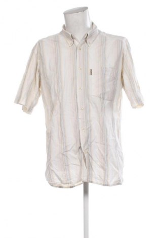 Pánská košile  Unbranded, Velikost XL, Barva Vícebarevné, Cena  136,00 Kč