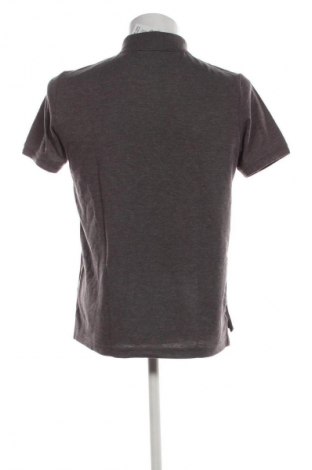 Pánské tričko  Pierre Cardin, Velikost M, Barva Vícebarevné, Cena  815,00 Kč