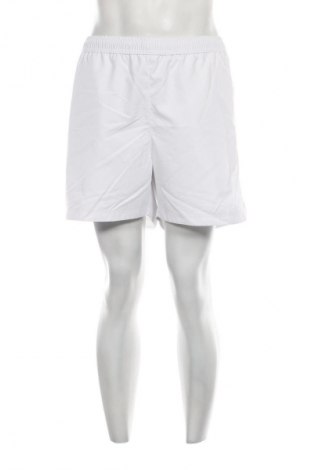 Herren Shorts Tommy Hilfiger, Größe XXL, Farbe Mehrfarbig, Preis € 33,99