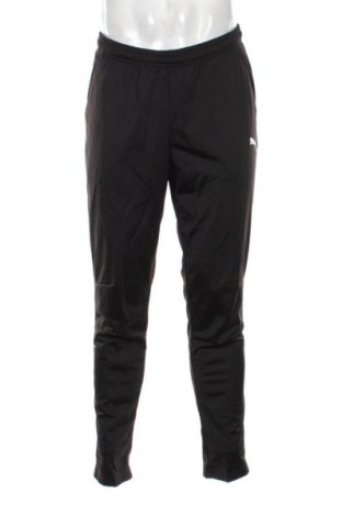 Herren Sporthose PUMA, Größe L, Farbe Schwarz, Preis € 50,99