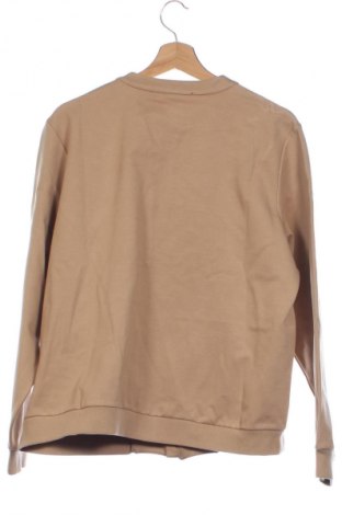 Ανδρικό μπουφάν Mavi, Μέγεθος XL, Χρώμα Καφέ, Τιμή 31,99 €