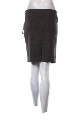 Sukňa Pole & Pole, Veľkosť M, Farba Viacfarebná, Cena  1,95 €