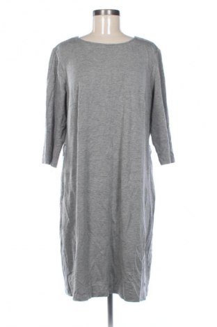 Kleid Betty Barclay, Größe XL, Farbe Grau, Preis 13,99 €
