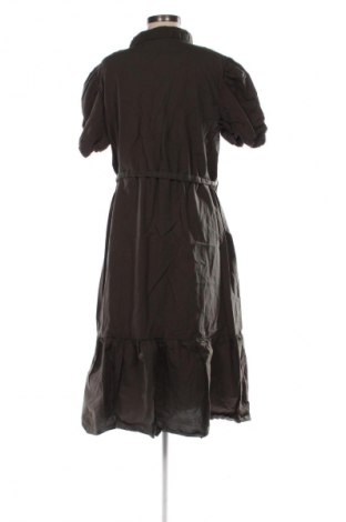 Kleid Dorothy Perkins, Größe XL, Farbe Grün, Preis 12,99 €