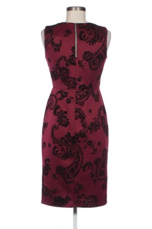 Kleid En focus Studio, Größe S, Farbe Mehrfarbig, Preis 4,99 €