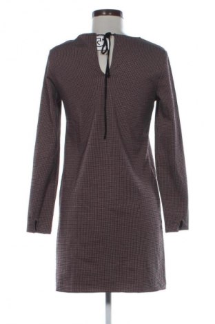 Kleid Mango, Größe XS, Farbe Mehrfarbig, Preis € 10,39