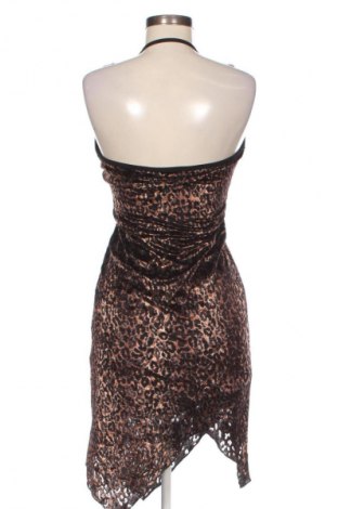 Φόρεμα New Body, Μέγεθος L, Χρώμα Πολύχρωμο, Τιμή 30,68 €