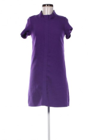 Kleid Promod, Größe XS, Farbe Lila, Preis 7,99 €