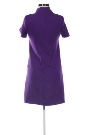 Kleid Promod, Größe XS, Farbe Lila, Preis 7,99 €
