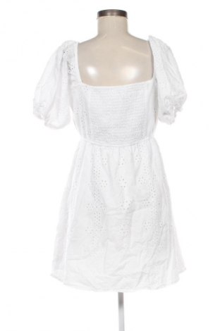 Sukienka Sinsay, Rozmiar XL, Kolor Kolorowy, Cena 34,99 zł