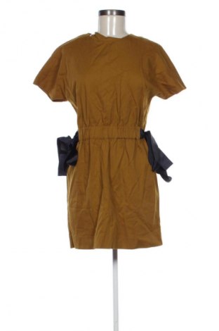 Kleid Zara, Größe S, Farbe Grün, Preis 12,99 €