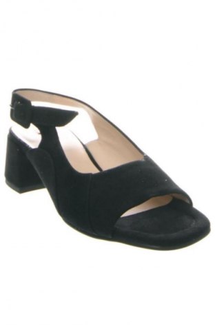 Σανδάλια Hogl, Μέγεθος 35, Χρώμα Μαύρο, Τιμή 112,99 €