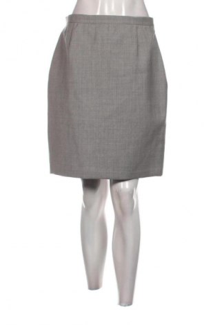 Φούστα Unbranded, Μέγεθος M, Χρώμα Γκρί, Τιμή 1,99 €